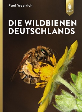 Die Wildbienen Deutschlands NTg4Mjk1Nw 881x1200 370
